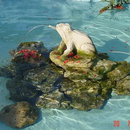 Secret Garden House Pensionat 2*